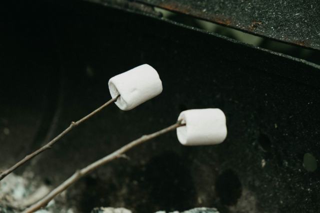 Guimauve française et marshmallow américain, deux recettes nées d'une plante Guimauve française et marshmallow américain, deux recettes nées d'une plante